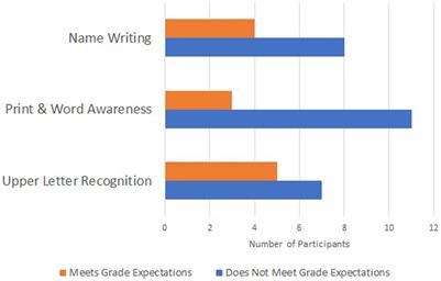 Initial characterization of print awareness in unhoused children